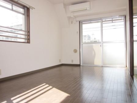Living and room. Bright living-dining