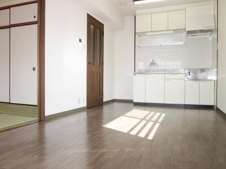 Living and room. Insert a bright sunlight