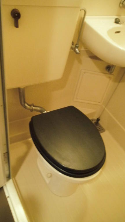 Toilet. You can reduce the coldness of winter with a wooden toilet seat adoption