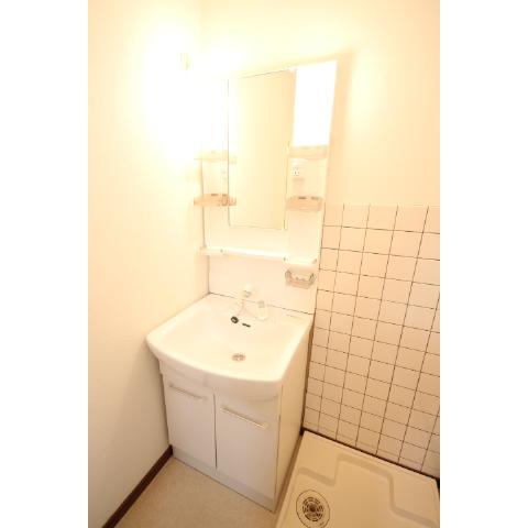 Washroom. Shampoo dresser