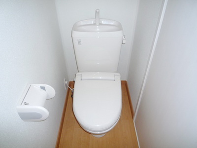 Toilet. Toilet with cleanliness