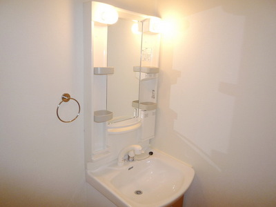Washroom. Washbasin with shower