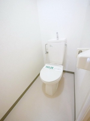 Toilet. Toilet with cleanliness