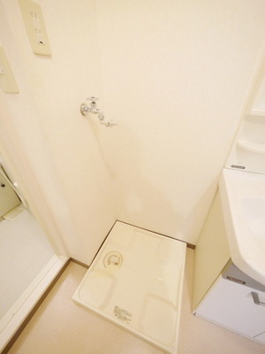 Other room space. Washing machine in the room