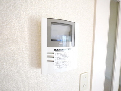 Security. TV Monitahon