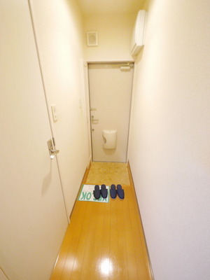 Living and room. Entrance