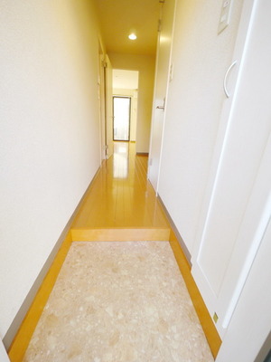 Entrance. Wide entrance space