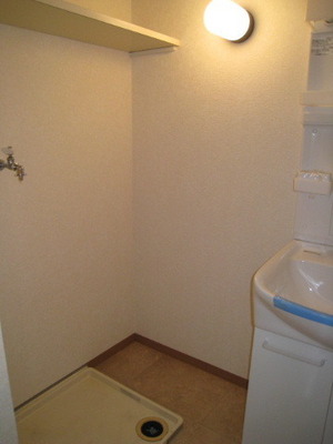 Washroom. Washing machine in the room