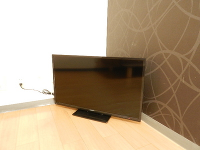 Other. 32-inch TV
