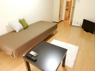 Other. furniture ・ With consumer electronics