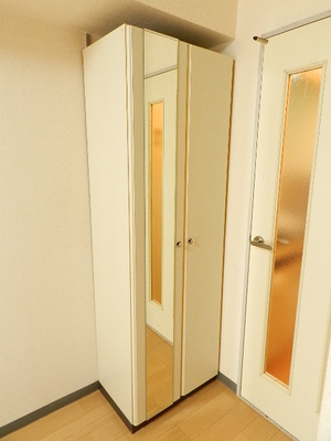 Receipt. Closet With full-length mirror