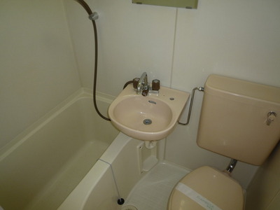Toilet. Toilet