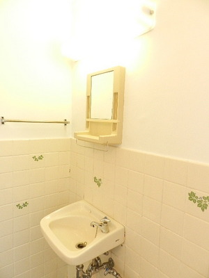 Washroom. Bathroom vanity