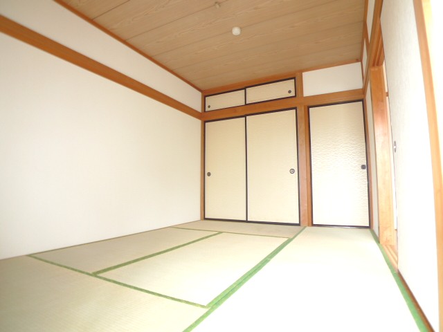 Living and room. A bright room