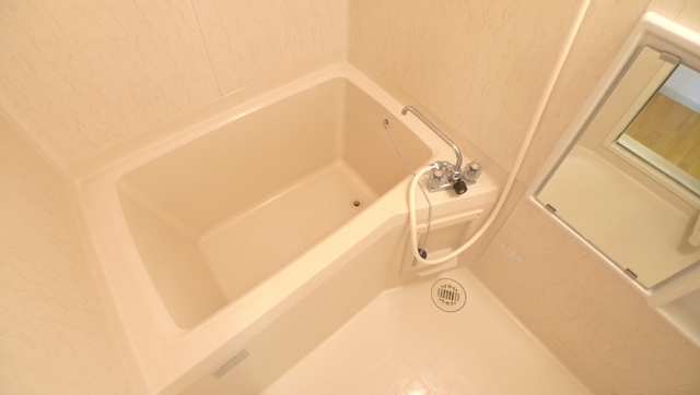 Bath. Clean bathroom