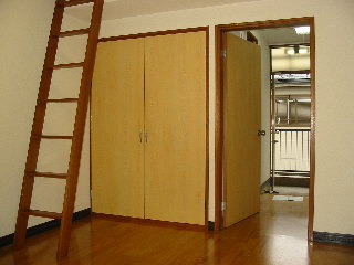 Living and room. Another, Room photo