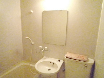 Washroom. Wash basin