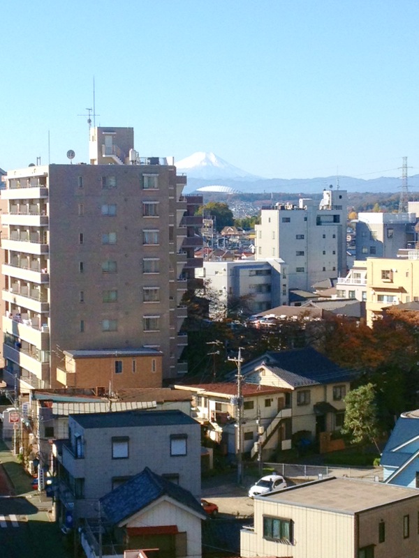 View