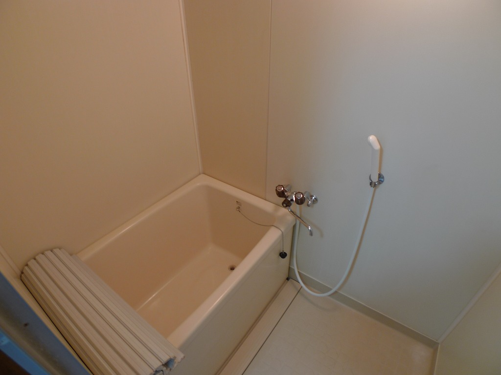 Bath. Clean bathroom