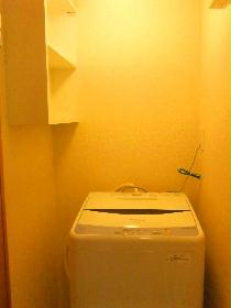Other. There is likely to be a washing machine (in the product change. )