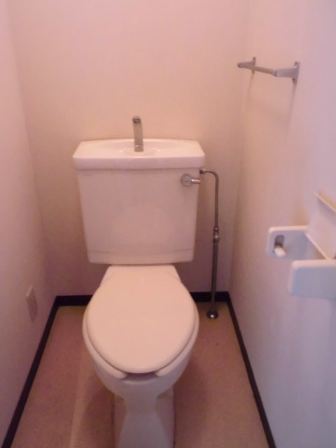 Toilet. Toilet