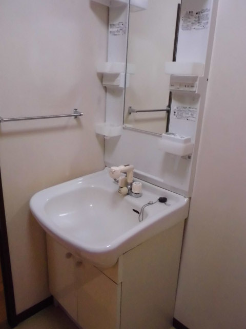 Washroom. Happy shampoo dresser in a busy morning ・ Laundry Area