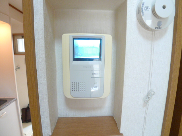 Security. TV monitor with Hong
