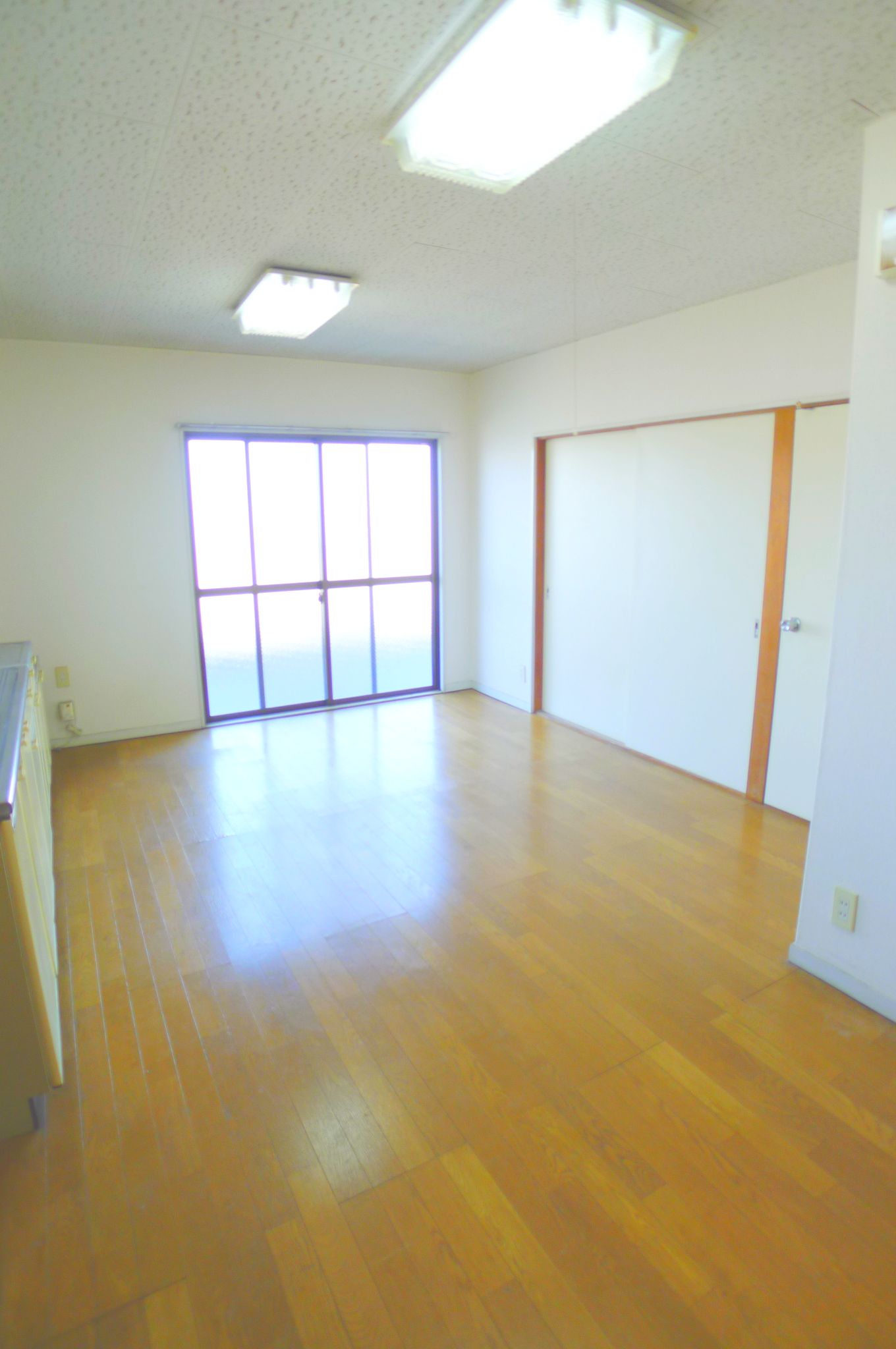Living and room. Spacious living room ☆ 
