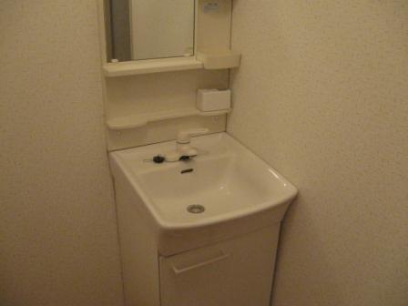 Washroom. Separate vanity. There is also a convenient space to put small items.