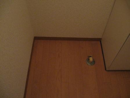 Washroom. Indoor Laundry Storage