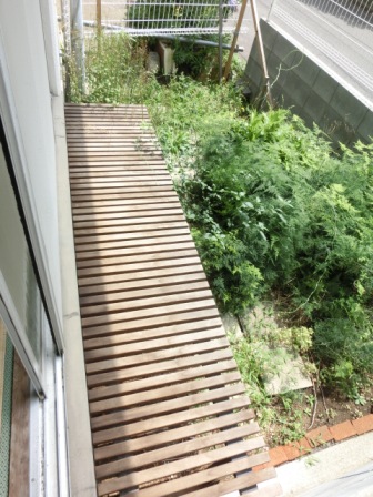 Balcony. Garden of the south. Day is good