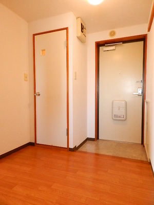 Entrance. Entrance hall