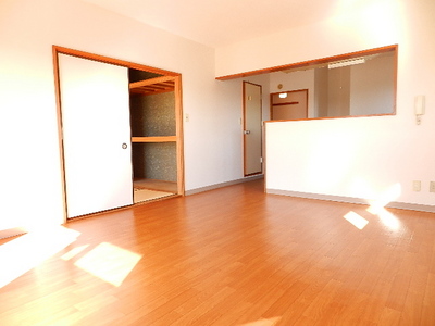 Living and room. Popular face-to-face kitchen