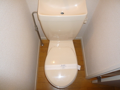 Toilet. Toilet