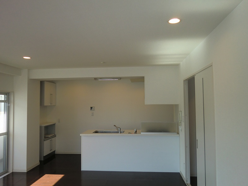 Kitchen. This is the feeling when viewed from the stylish open kitchen living room