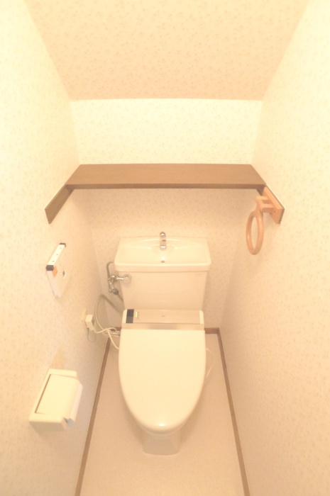 Toilet. Of course Washlet