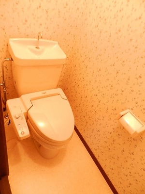 Toilet. Bidet
