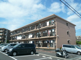 Building appearance