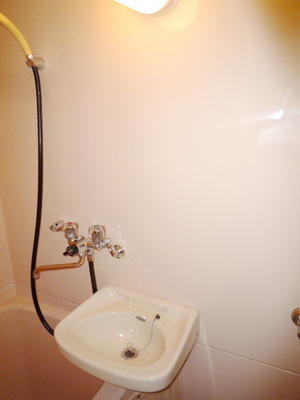 Washroom. Wash basin