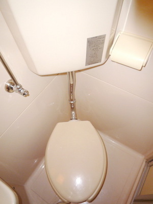Toilet. Toilet