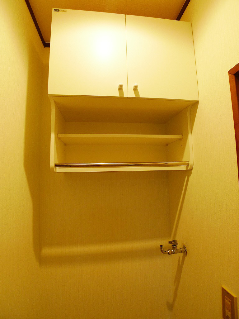 Washroom. Shelf of washroom