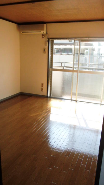 Living and room. South-facing sunny
