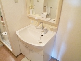 Washroom. Model room room