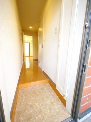 Entrance. Wide entrance and entrance hall