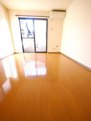 Living and room. 7 Pledge of a bright room