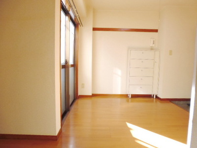 Living and room. Bright living room
