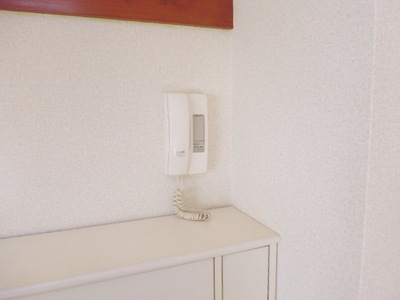 Security. Door phone