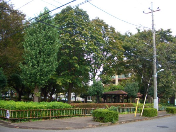 Other. There park near