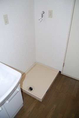 Washroom. Washing machine in the room