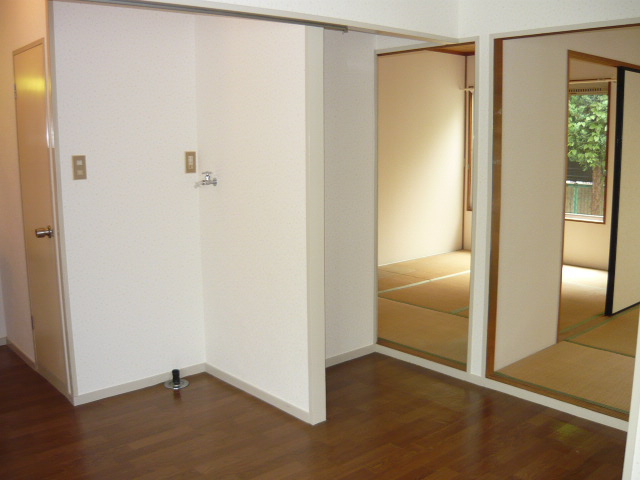 Other room space. There is storage room washing machine